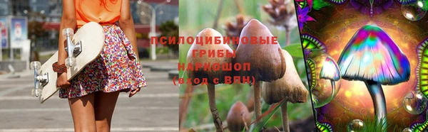 дмт Арсеньев