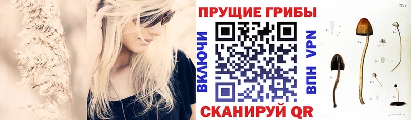 Псилоцибиновые грибы Magic Shrooms  Берёзовский 